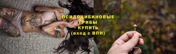 МДПВ Нязепетровск