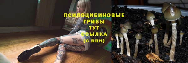 COCAINE Няндома