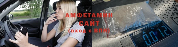 прущие грибы Нягань