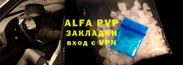 прущие грибы Нягань
