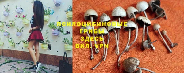 кристаллы Новозыбков