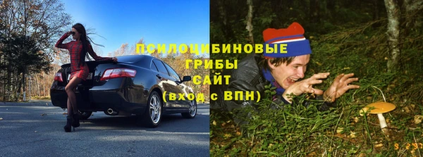 МДПВ Нязепетровск