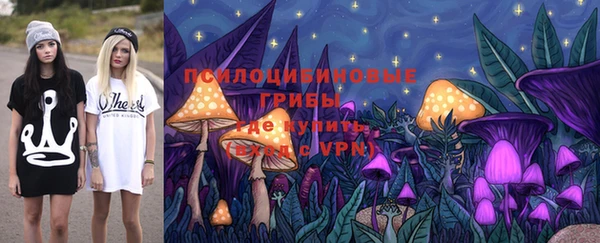 прущие грибы Нягань