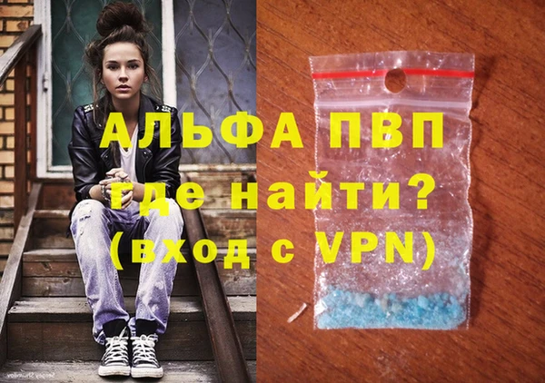 spice Новодвинск