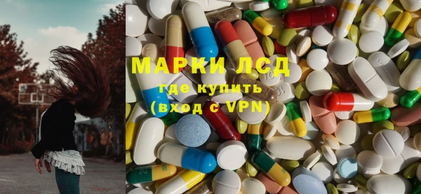 прущие грибы Нягань
