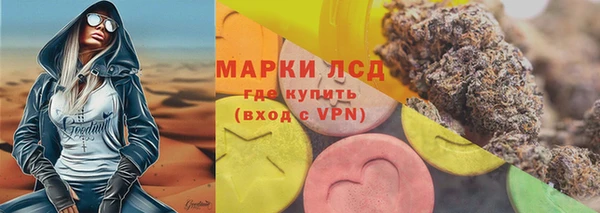 прущие грибы Нягань