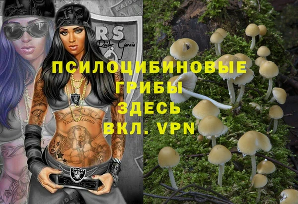 МДПВ Нязепетровск